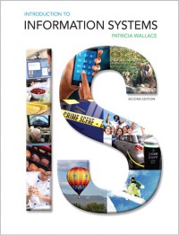 Image of Introduction to Information Systems